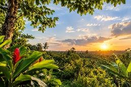 Surinaams natuurlandschap
