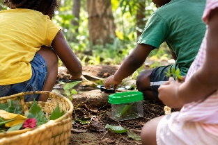 Kinderen leren en ontdekken samen in de natuur